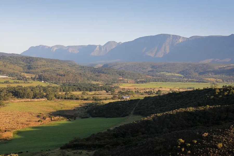 0 Bedroom Property for Sale in Riversdale Western Cape